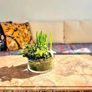Stunning With Private Bathroom And Shared Balcony, Mainly With 3 Adorable Cats! * Lagos